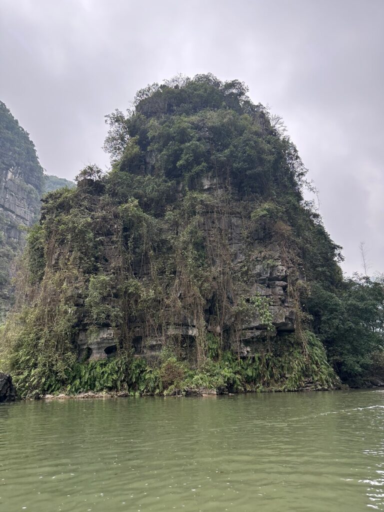 Image #3 from Kirstin T